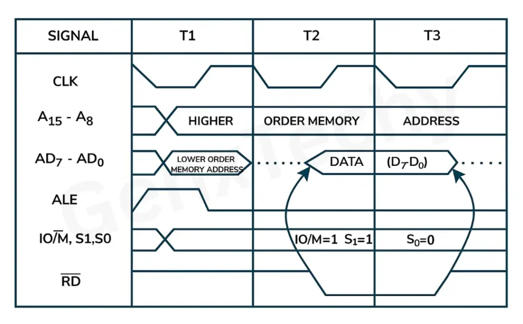 Memory Read Cycle & Memory Write Cycle