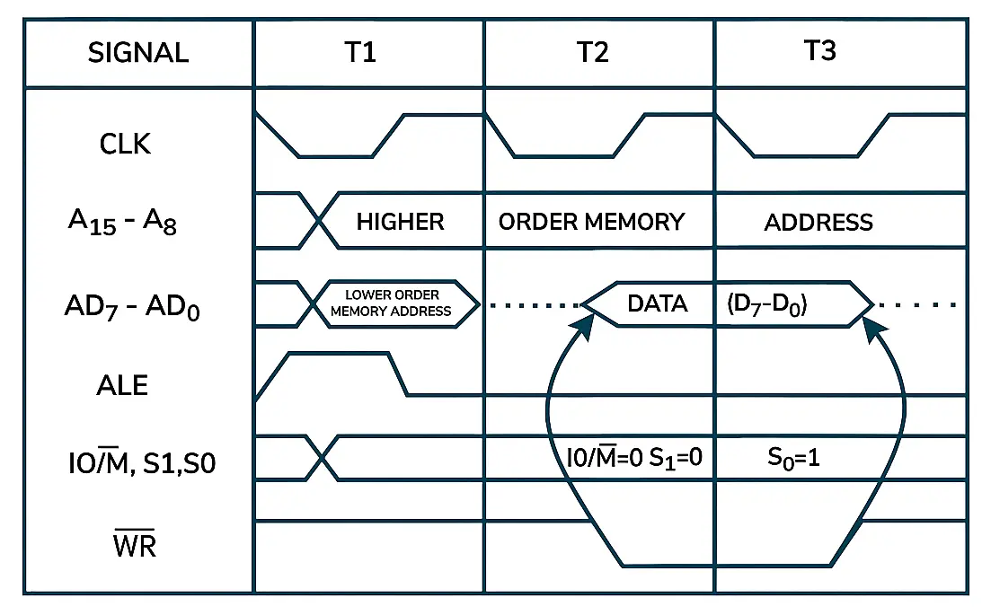 Memory Read Cycle & Memory Write Cycle