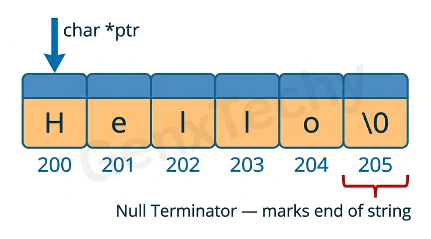 Pointer